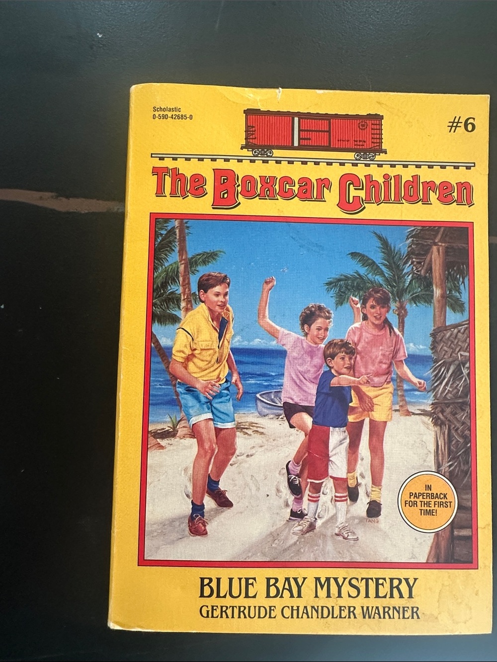 The Boxcar Children #6